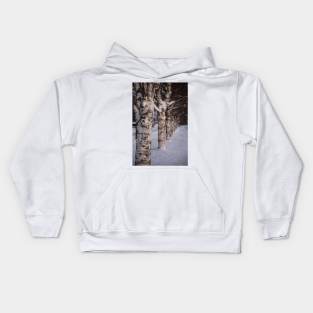 Trees in the Snow Kids Hoodie